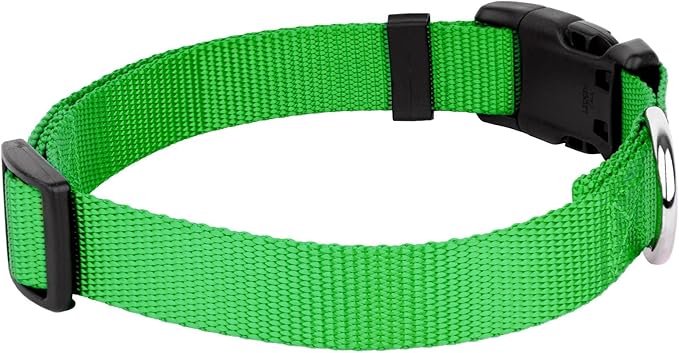 Country Brook Petz - American-Made Dog Collar for Large, Medium, and Small Dogs and Puppies - Deluxe Heavy Duty Nylon in 33 Dazzling Colors (Extra Large, 1 Inch Wide, Hot Lime Green)