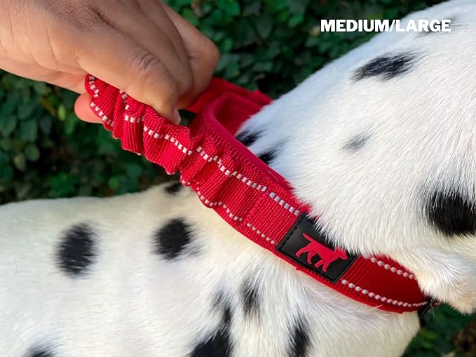 Heavy Duty Dog Collar with Handle | Ballistic Nylon Heavy Duty Collar | Padded Reflective Dog Collar with Adjustable Stainless Steel Hardware | Convenient Sizing for All Breeds
