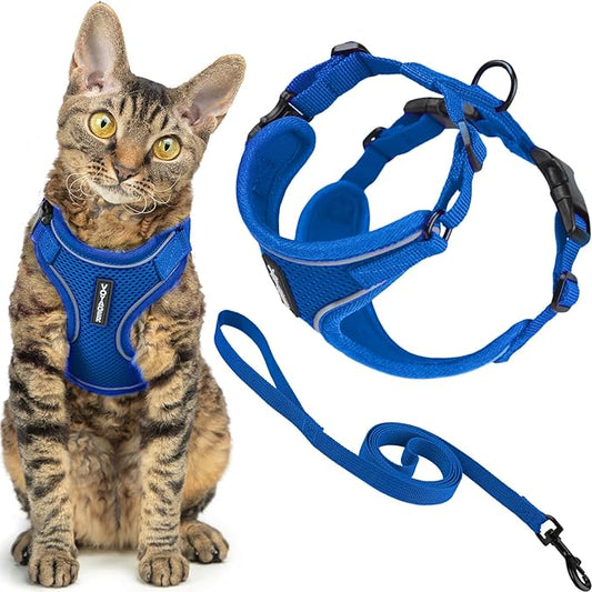 Voyager Escape Proof Cat Harness and Leash Set with Reflective Stitching, Neoprene Handle 5ft - Supports Small, Medium and Large Cats, Kittens for Walking by Best Pet Supplies - Royal Blue, XXXS