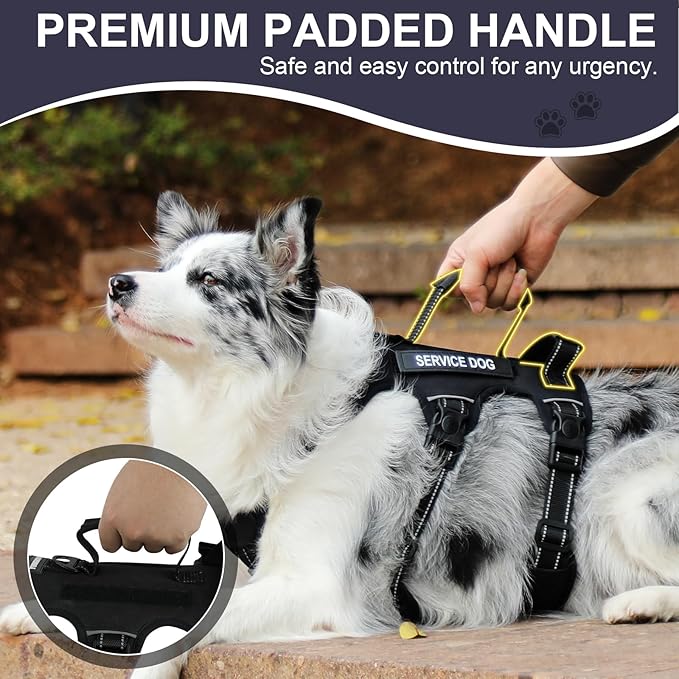 Escape Proof Dog Harness for Large Medium Sized Dogs Six Point Adjustable, Service Dog Vest Harness and Leash Set, No Pull Dogs Harnesses with Handle, XL Dog Harnesses for Walking(Black, XL)