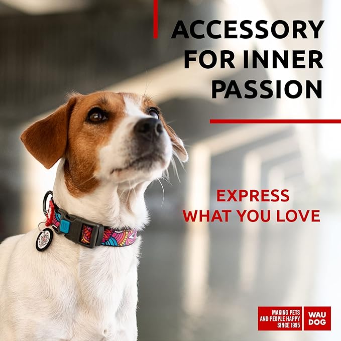 WAUDOG Nylon Dog Collar - Adjustable Dog Collar for Large Dogs, Small & Medium Dogs - Breakaway Puppy Collars for Large Breed Dogs - Boy & Girl Dog Collars with Durable Plastic Buckle and QR Dog Tag