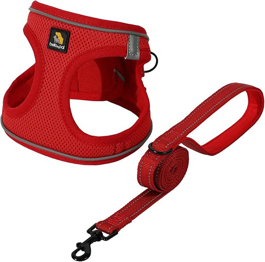 BELLA & PAL Puppy Harness with Leash Set, Dog Harness for Small Dogs No Pull, Dog Leash for Small Dogs, Step in Harness for Extra Small Dogs, Red Harness, L