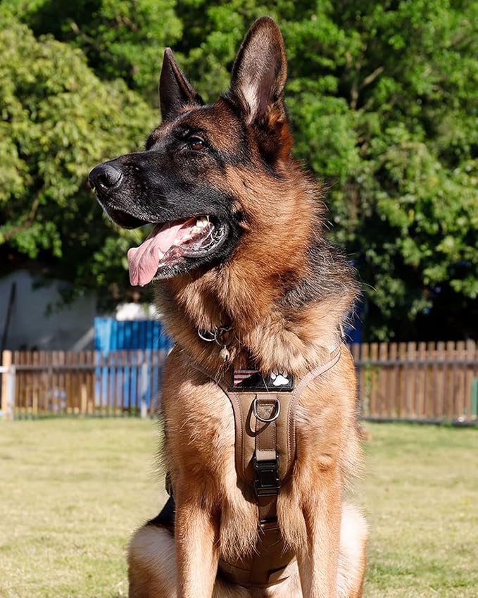 Tactical Dog Harness - PETNANNY Service Dog Vest for Large Dogs Fully Body Coverage in Training Dog Harness with 2 Reflective Dog Patches, Handle, Hook and Loop Panels, Dog MOLLE Vest (Khaki, L)