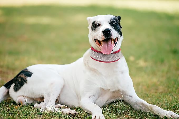 Bling Rhinestone Dog Collar Soft Comfortable Stylish Dog Collar with Bright Reflective Stripe Premium Adjustable Diamond Crystal Pet Collar for Medium and Large Dogs (L, Red)