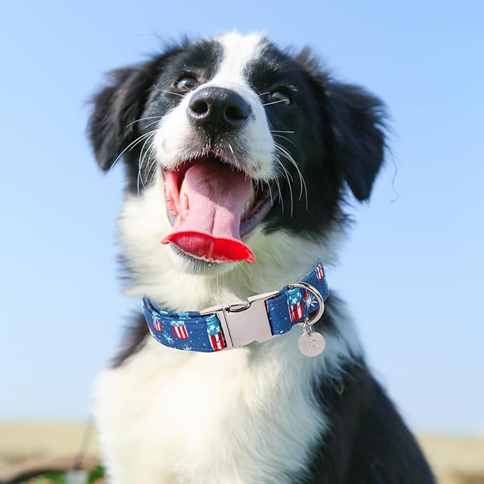 4th of July Dog Collar, Patriotic Dog Collar, American Flag Collar for Puppy Boy Girl Dog or Cat, Comfortable Summer Collar with Metal Buckle, S