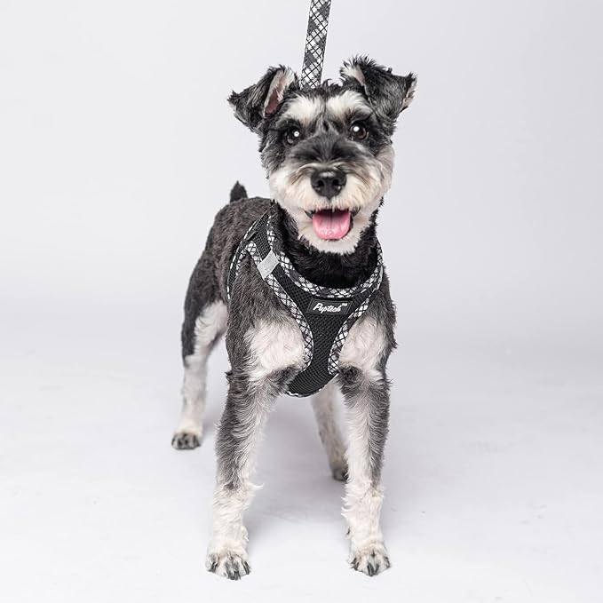 PUPTECK Dog Harness and Leash Set for Small Medium Dogs No Pull Step-in Soft Mesh Puppy Cat Vest Harnesses Reflective at Night, Black L