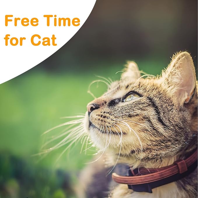 Extra Long Cat Leash for Yard, 15M/50FT Lightweight Outdoor Cat Leash Long Light Extension, Long Thin Lead for Rabbits, Kitten, Puppy and Small Animals