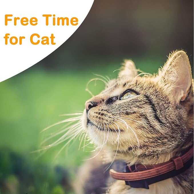 Extra Long Cat Leash for Yard, 9M/30FT Lightweight Outdoor Cat Leash Long Light Extension, Long Thin Lead for Rabbits, Kitten, Puppy and Small Animals