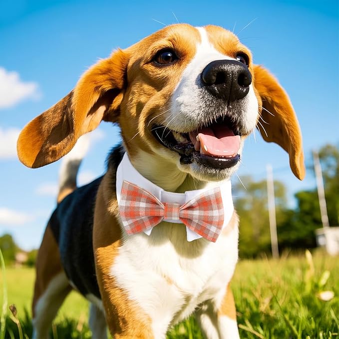 Segarty Dog Bow Tie, Adjustable Orange Plaid Bowtie Collar for Dogs, Medium Dog Neck Tie Tuxedo Comfortable Cotton Boy Pets Grooming Accessories for Formal Wedding Holiday Birthday Gift Party