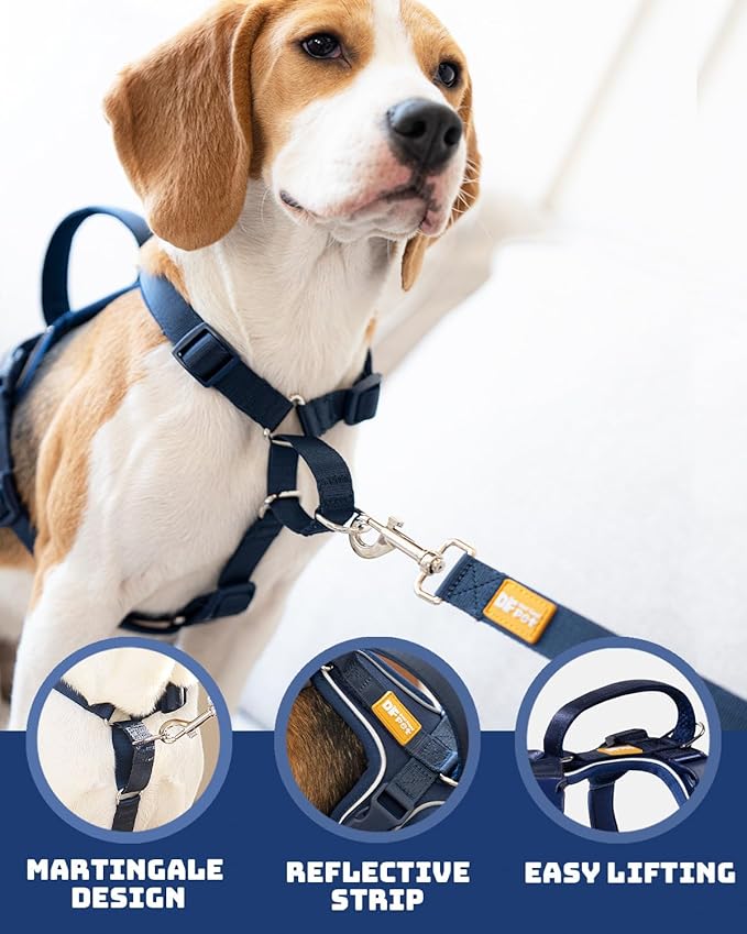 DF Freedom No Pull Martingale Dog Harness and Double-Ended Leash Set, Safety Control to Stop Pulling, Reflective & 5-Point Adjustable, Support Padded Handle, Navy Blue Pro, 3/4", Chest 20" - 26.8"