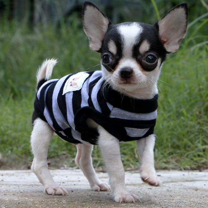 LOPHIPETS 100% Cotton Striped Dog Shirts for Small Dogs Chihuahua Puppy Clothes Tank Vest-Black and Gray Strips/XS