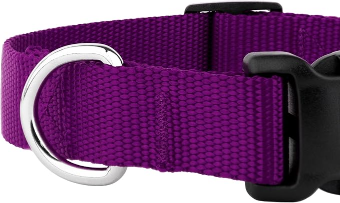 Country Brook Petz - American-Made Dog Collar for Large, Medium, and Small Dogs and Puppies - Deluxe Heavy Duty Nylon in 33 Dazzling Colors (Large, 1 Inch Wide, Purple)