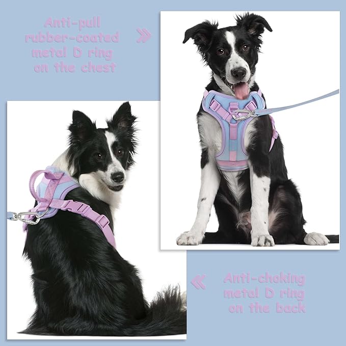 No Pull Dog Harness Adjustable Soft Padded Pet Vest with Control Handle Adorable Daily Harness for Dogs(Spun Sugar M)