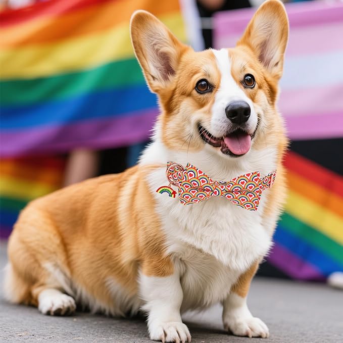 ADOGGYGO Rainbow Dog Collar with Bow, Detachable Bow, Metal Buckle, Adjustable Rainbow Collars for Medium Dogs Boy Girl Male Female (Medium)