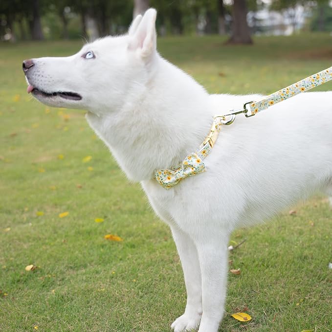 Tunkoo Dog Collar Floral with Elegant Bow Tie Soft Comfy Cotton Adjustable Collar, Premium Metal Buckle for Puppy and Cat Small Medium Large(Daisy Flowers,L)