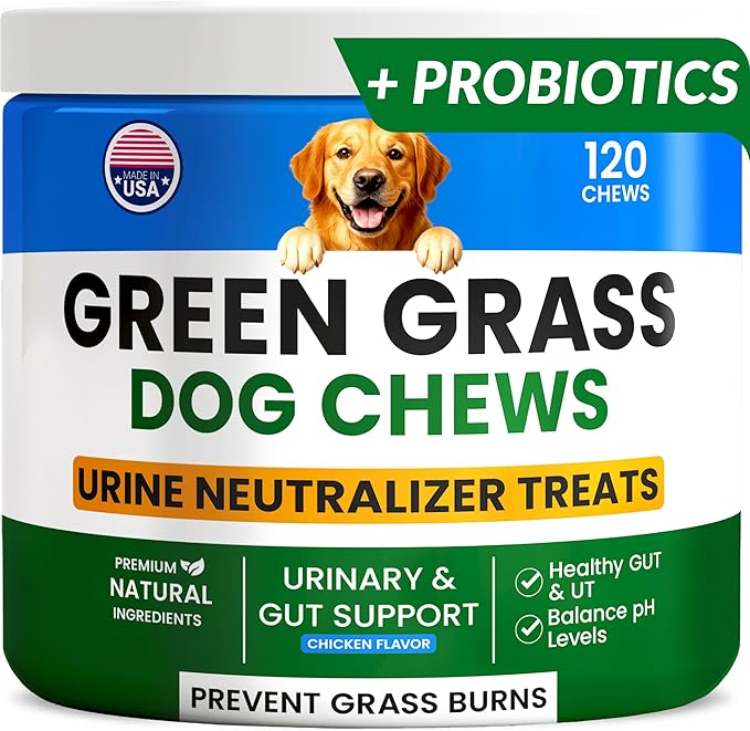 Green Grass Dog Chews w/Probiotics - Prevent Urine Burning Grass - Dog Pee Grass Spot Saver - Dog Urine Neutralizer for Lawn Treats, UT & Gut Health for Dogs, Lawn Burn from Dog Urine