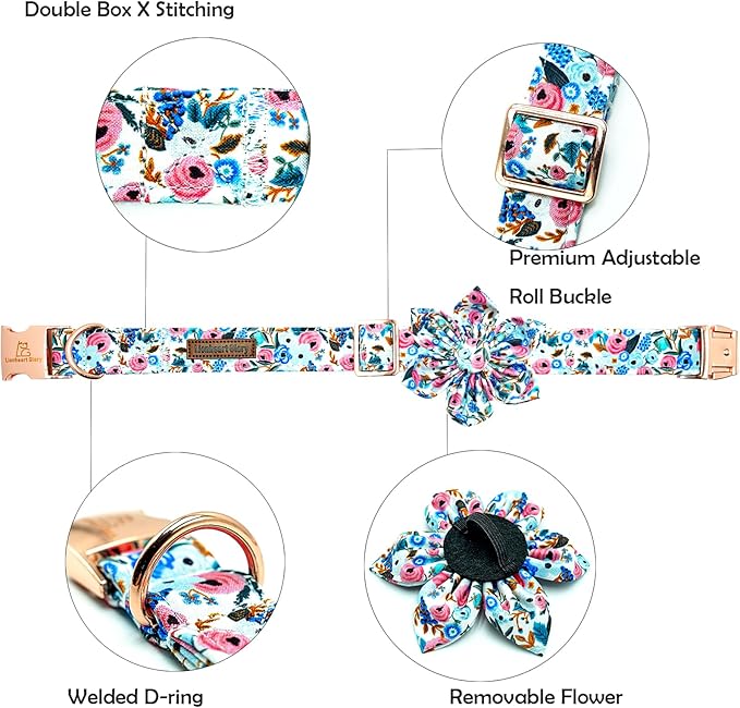 Lionheart Glory Floral Dog Collar - Soft, Durable & Adjustable for Medium Dogs