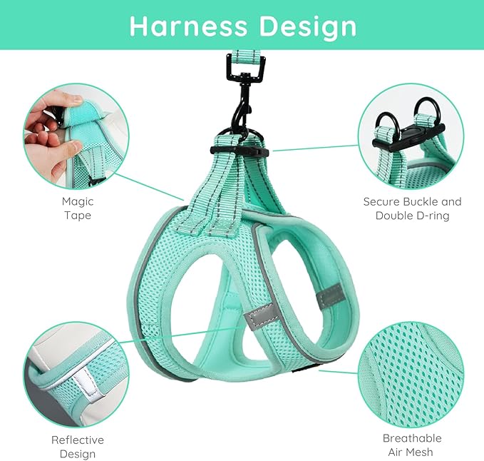 BELLA & PAL Puppy Harness & Leash Set, No Pull, Step-in Harness for Extra Small Dogs, Light Green, XS