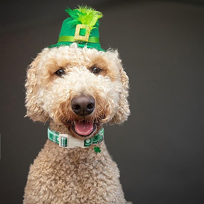 Lionet Paws St. Patrick Dog Collar, Comfortable Adjustable Green Collar with Green Clover Pattern for Small Male Female Dogs Collars, Neck 10-16 inches