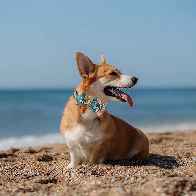 Dog Collar with Bow Tie, Durable Comfortable Cotton Dog Bowtie Collar with Metal Buckle for Medium Dog Girl Boy, Summer Cute Dog Collar, M