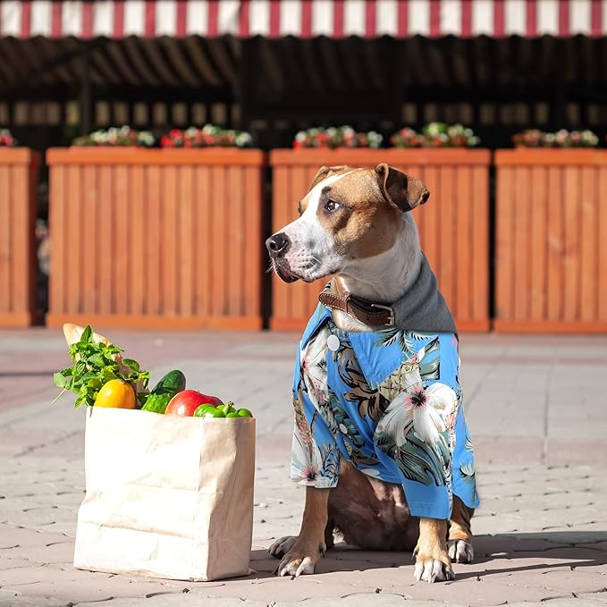 Weewooday 4 Pieces Pet Summer T-Shirts Hawaii Style Floral Pet Dog Shirt Breathable Cool Clothes Beach Seaside Puppy Sweatshirt for Small Puppy(Cute Style,X-Small)