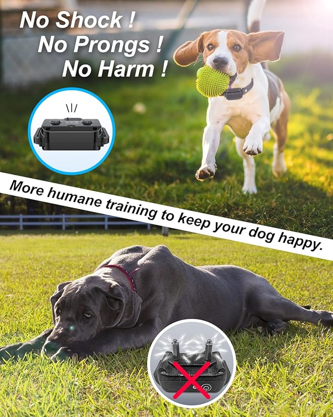 No Shock Dog Training Collar with Remote, Dog Vibration Collar with Controller Beep and Vibrate Only, Safe Lock Waterproof Rechargeable Vibrating Collars for Dogs(10-120 lbs)-No Prongs (Black)
