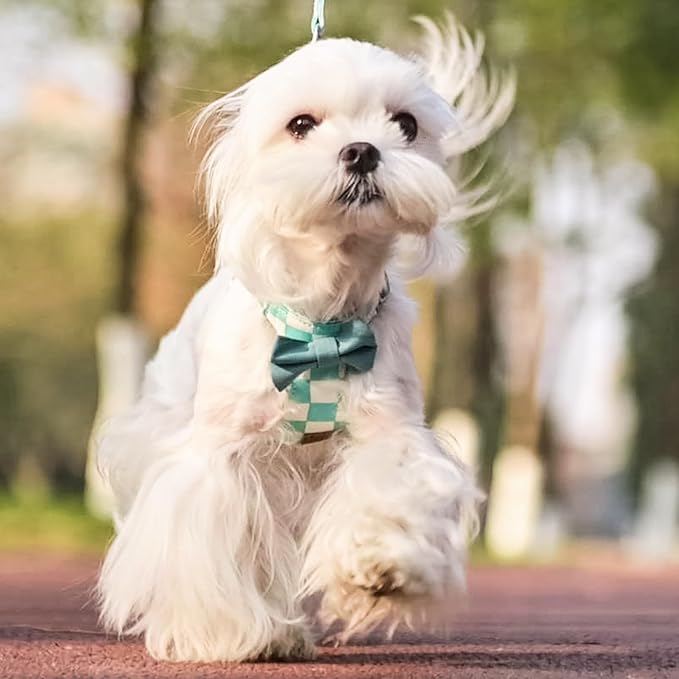 PUPTECK Dog Harness and Leash Set Small Sized, Step-in Cute Puppy Harness, Soft Lightweight Padded Vest, Escape Proof No Pull Pet Harnesses Easy for Walking, Plaid Green & White, S