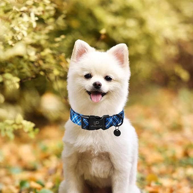 Autumn Cotton Dog Collar, Blue Plaid with Plastic Buckle, Adorable Pet Collar for Puppy, Cat or Dog