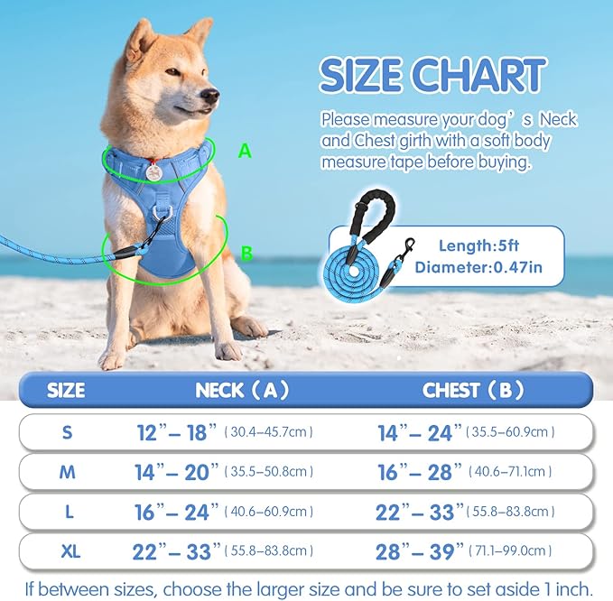 PoyPet No Pull Dog Harness and 5 Feet Leash Set, Release on Neck Reflective Adjustable Pet Vest, Front & Back 2 D-Ring and Soft Padded Pet Harness with Handle for Small to Large Dogs(Light Blue,M)