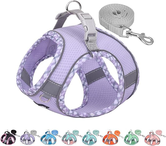 AIITLE Teacup Puppy Harness with Leash - Adjustable Soft Vest with Magic Velcro & Reflective Safety Strips, Easy-Put-On for Poodles, Pomeranians - Gym, Hiking, Travel (Purple, S)