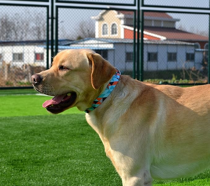 Dog Collar with Bohemia Floral Tribal Geometric Patterns - Soft Ethnic Style Collar Adjustable for Small Medium Large Dogs (Geometry,XS)