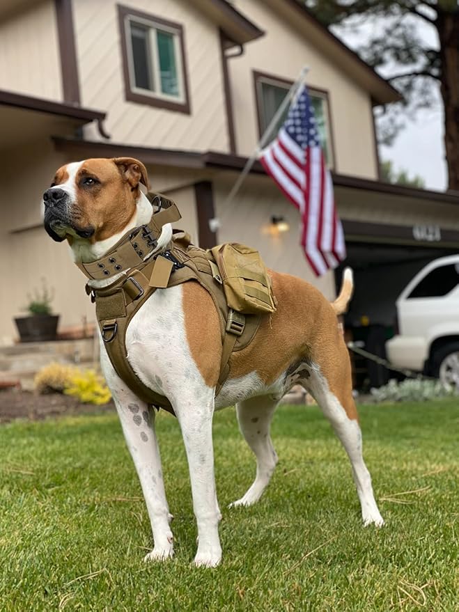 Tactical Dog Collar with Handle - Military Adjustable Dog Training Collar Soft Nylon and Heavy Duty Metal Buckle for Medium Large Dogs - with Patch (Brown with Patch, Large)