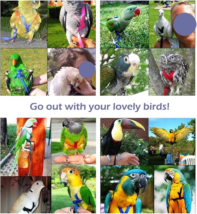 CIEOVO Bird Harness, Adjustable Parrot Nylon Leash with Anti-bite Design for Outdoor Activities Training, Suitable for Eastern Bluebonnet Parrot, Cockatoo, Parakeet, Doves 6.2ft (S)