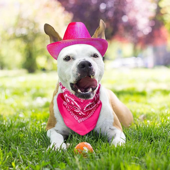 Yewong Pet Neon Sparkly Glitter Space Cowboy Hat Costume Set Dog Cat Metallic Space Shiny Cowboy Hats with Paisley Bandana West Cowboy Accessories for Pets (Metallic Rose Red) One Size