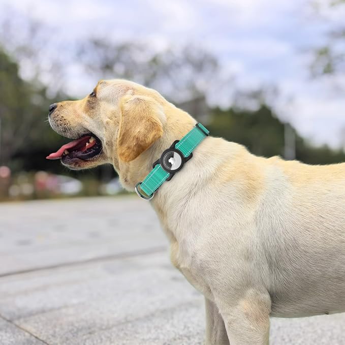 Dog Collar with QR Code, Reflective Dog Collar, Soft Neoprene Padded & Safety Locking Buckle Adjustable Pet Collar (Teal, XS-with Airtag Holder)