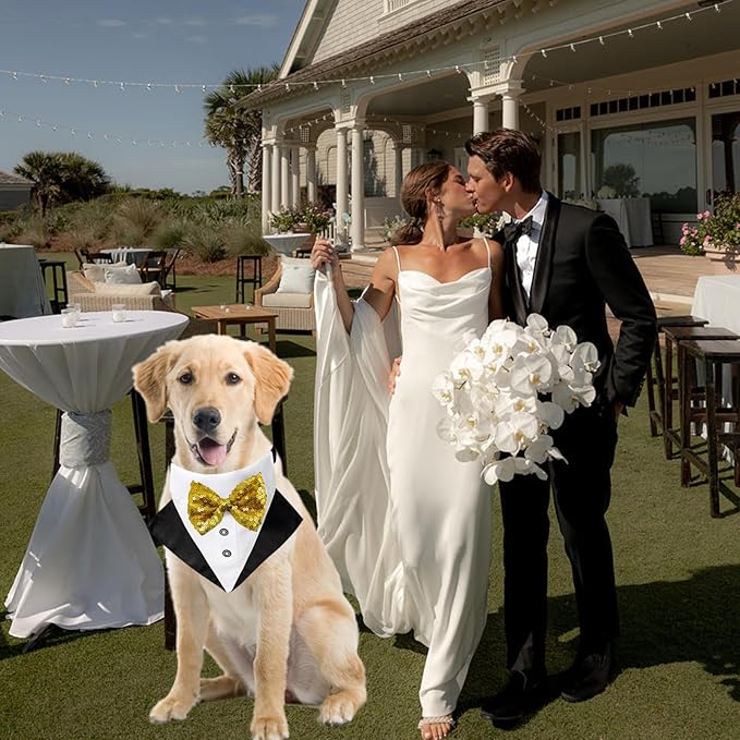 Tuxedo Costume Wedding Bandana Nylon Collar Suit With Gold Bow Tie Adjustable Black Tux Formal Clothes for Small Medium Large Dogs Pet Birthday Christmas Dress Outfits