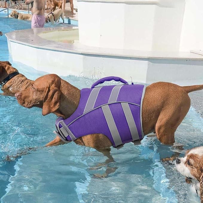 Kuoser Dog Life Jacket with Reflective Stripes, Adjustable High Visibility Doggie Water Vest Ripstop Puppy Lifesaver Pet Life Preserver for Small Medium and Large Dogs Puple XL