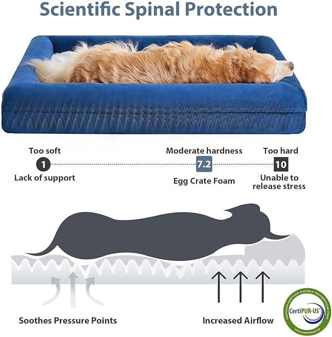 WNPETHOME Orthopedic XXXL Big Dog Bed, Washable Dog Couch with Removable Waterproof Cover, Large Pet Sofa Bed with Bolster Sides for Sleeping