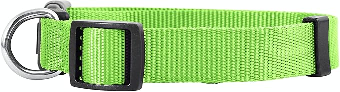 Native Pup Basic Nylon Dog Collar, Adjustable for Small, Medium, Large pet and Puppies Accessories, Cute Colors for Male, Female, boy, Girl, Puppy (Small, Neon)