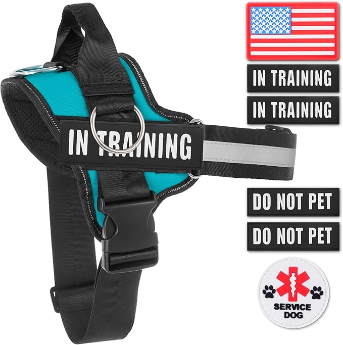Essential Dog Harness, No Pull Pet Harness with 3 Side Rings for Leash Placement, No Choke, Reflective, Adjustable Pet Vest, Easy On-Off & Improved Control Handle, Training, Walking, Running
