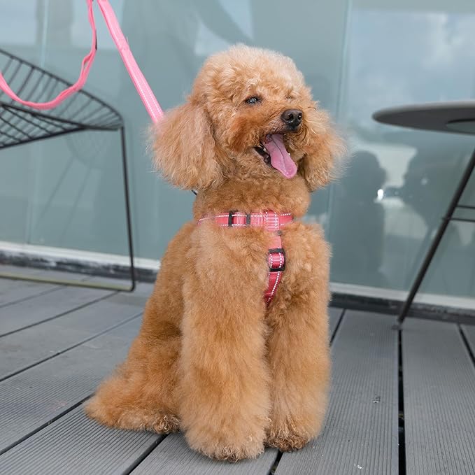 EXCELLENT ELITE SPANKER No Pull Dog Harness Adjustable Nylon Step-in Easy Pet Vest Chest Strap with Reflective and Leash Ring for Small Medium Large Breed Dogs Training Walking(Red-M)