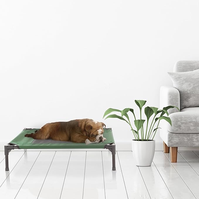Elevated Dog Bed ? 30x24 Portable Bed for Pets with Non-Slip Feet Indoor/Outdoor Dog Cot or Puppy Bed for Pets up to 50lbs by Petmaker (Green)