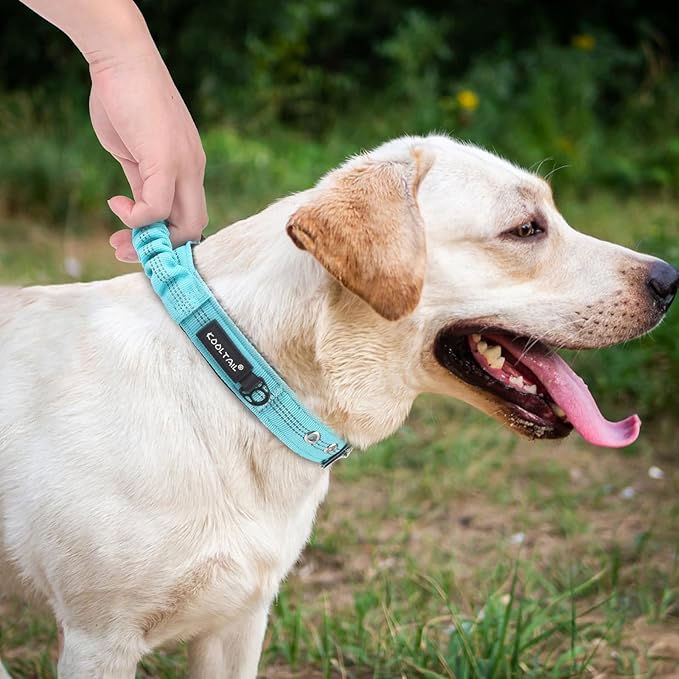 KOOLTAIL Heavy Duty Dog Collar with Handle for Large Dogs, Ballistic Nylon Collar for Training Control, Soft Padded Thick Wide Reflective Dogs Collar with Adjustable Metal Buckle for Walking, Green L