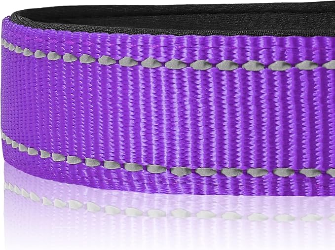 Joytale Reflective Dog Collar,Soft Neoprene Padded Breathable Nylon Pet Collar Adjustable for Medium Dogs,Purple,M