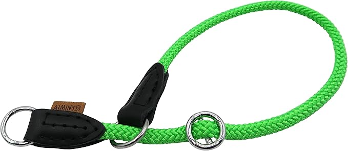 Braided Round Martingale Dog Collar, Training Collar with Slidable Stop Ring - Ideal for Extra Small Dogs (XS (1/4") - 14" Long, Light Green)