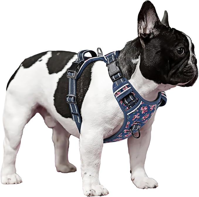 Timos Dog Harness, No Pull Dog Harness 3 Snap Buckles Adjustable Reflective No Choke Pet Vest for Small Dog with Soft Padded Control Training Handle for Outdoor Training,Flower Blue, XS