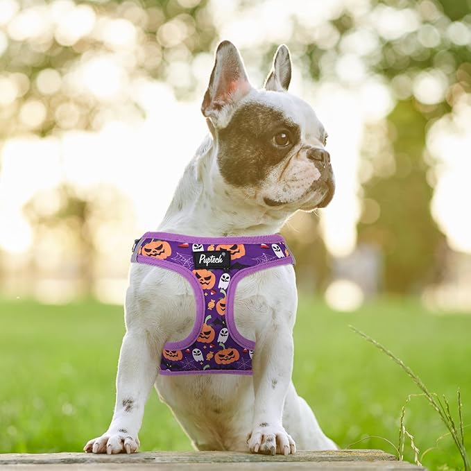 PUPTECK Dog Harness and Leash Set for Small Medium Dogs No Pull Step-in Soft Mesh Puppy Cat Vest Harnesses Reflective at Night, Halloween Purple, M
