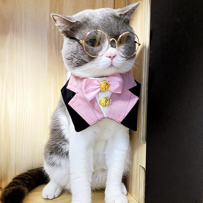 Dog & Cat Formal Wedding Bandana Collar with Bow Tie & Sunglasses (Pink)