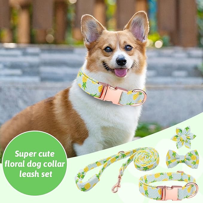 Dog Collar and Leash Set Girls Adjustable Puppy Collars with Fruit Bow Tie for Small Medium Large Female Dogs, Pineapple, XS