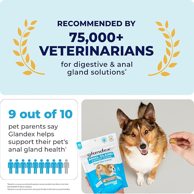 Vetnique Labs Glandex Anal Gland Soft Chew Treats with Pumpkin for Dogs Digestive Enzymes, Probiotics Fiber Supplement for Dogs Boot The Scoot (Pork Liver Chews, 30 Count)